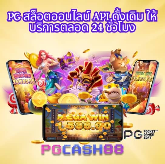 foxz24